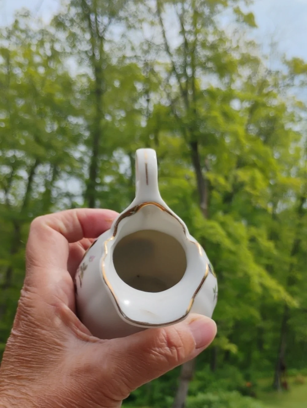 Mid-century Modern Royal Parakeet CREAMER VNVC